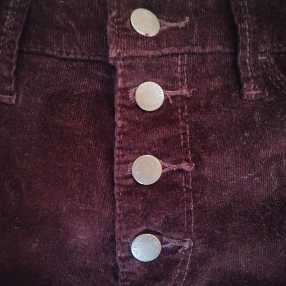 Universal Thread Purple Velvet Pants